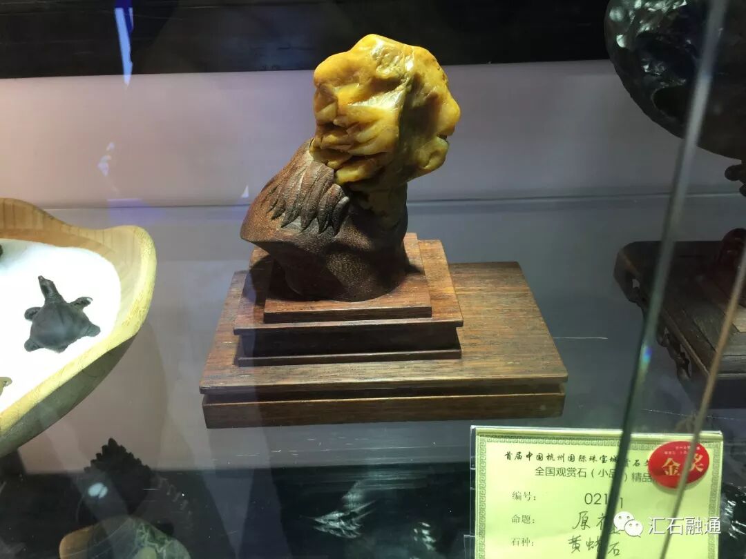 【金奖发布】杭州石展，盛大开幕