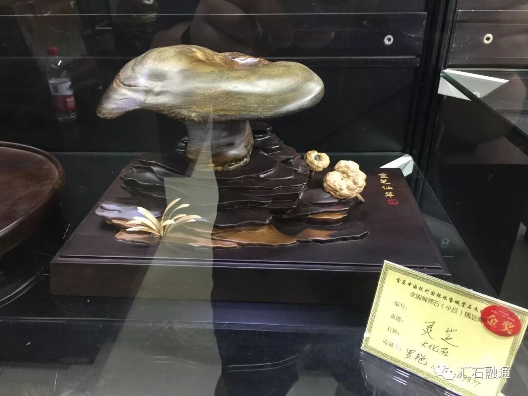 【金奖发布】杭州石展，盛大开幕