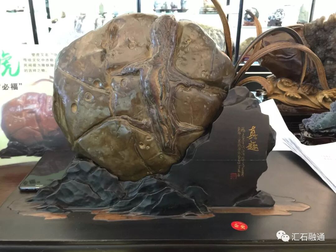 【金奖发布】杭州石展，盛大开幕