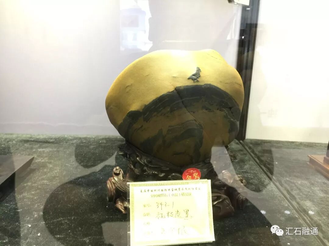 【金奖发布】杭州石展，盛大开幕