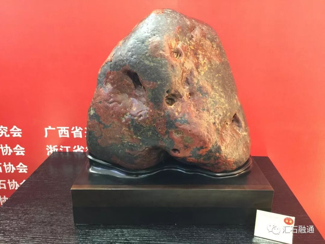 【金奖发布】杭州石展，盛大开幕