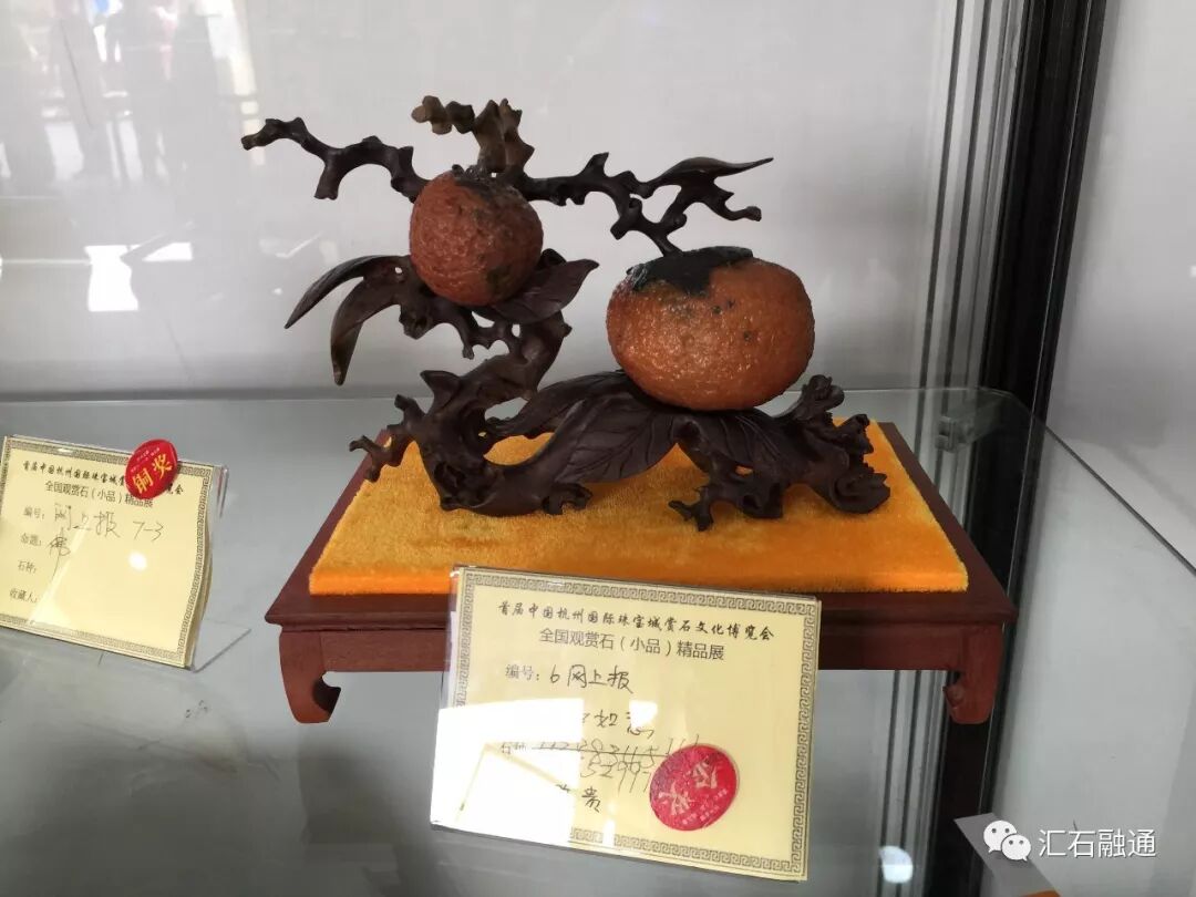 【金奖发布】杭州石展，盛大开幕