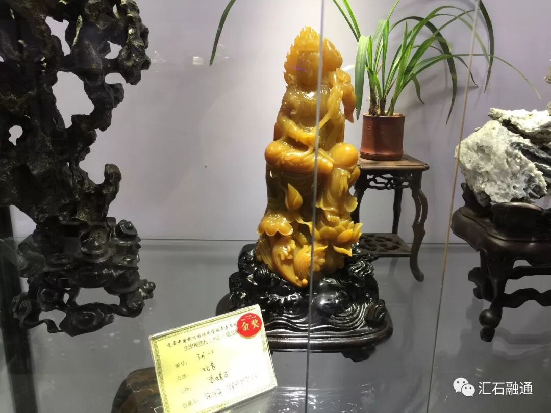 【金奖发布】杭州石展，盛大开幕