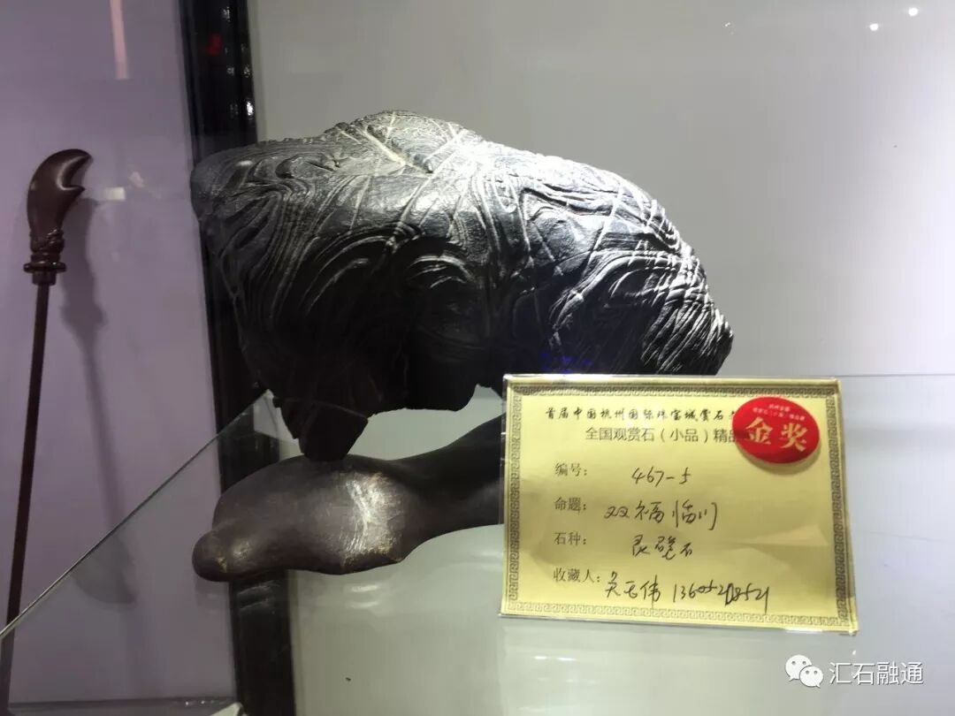 【金奖发布】杭州石展，盛大开幕