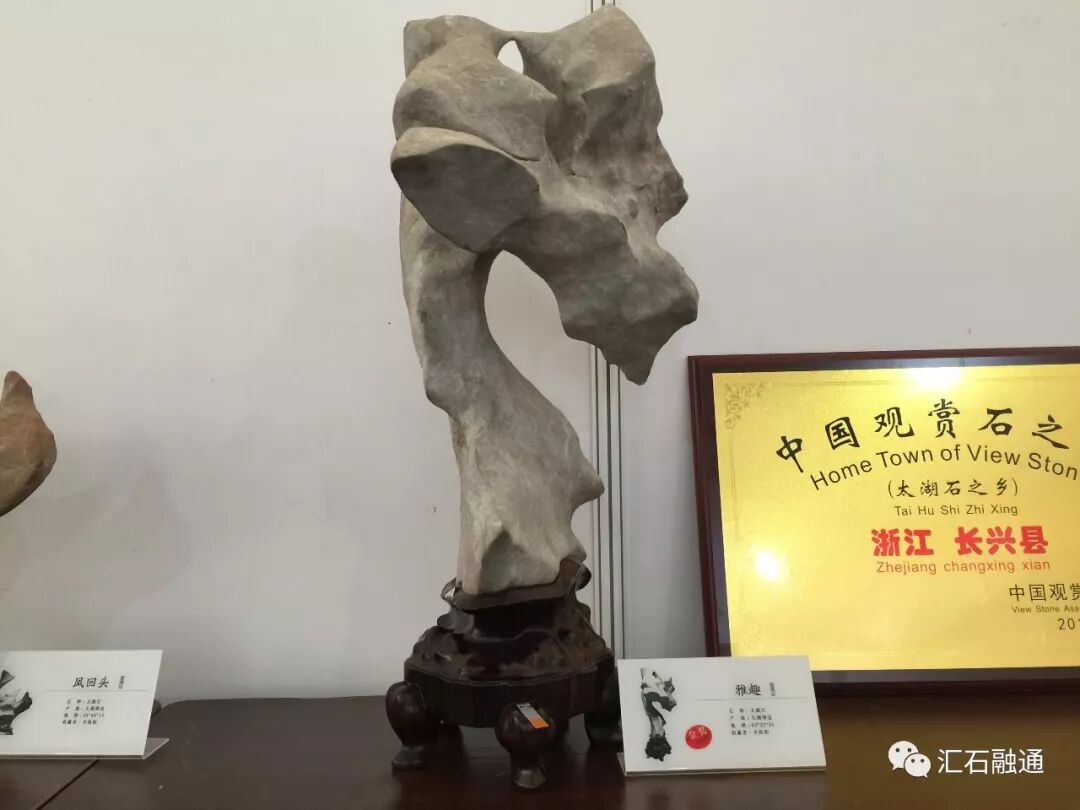 【金奖发布】杭州石展，盛大开幕