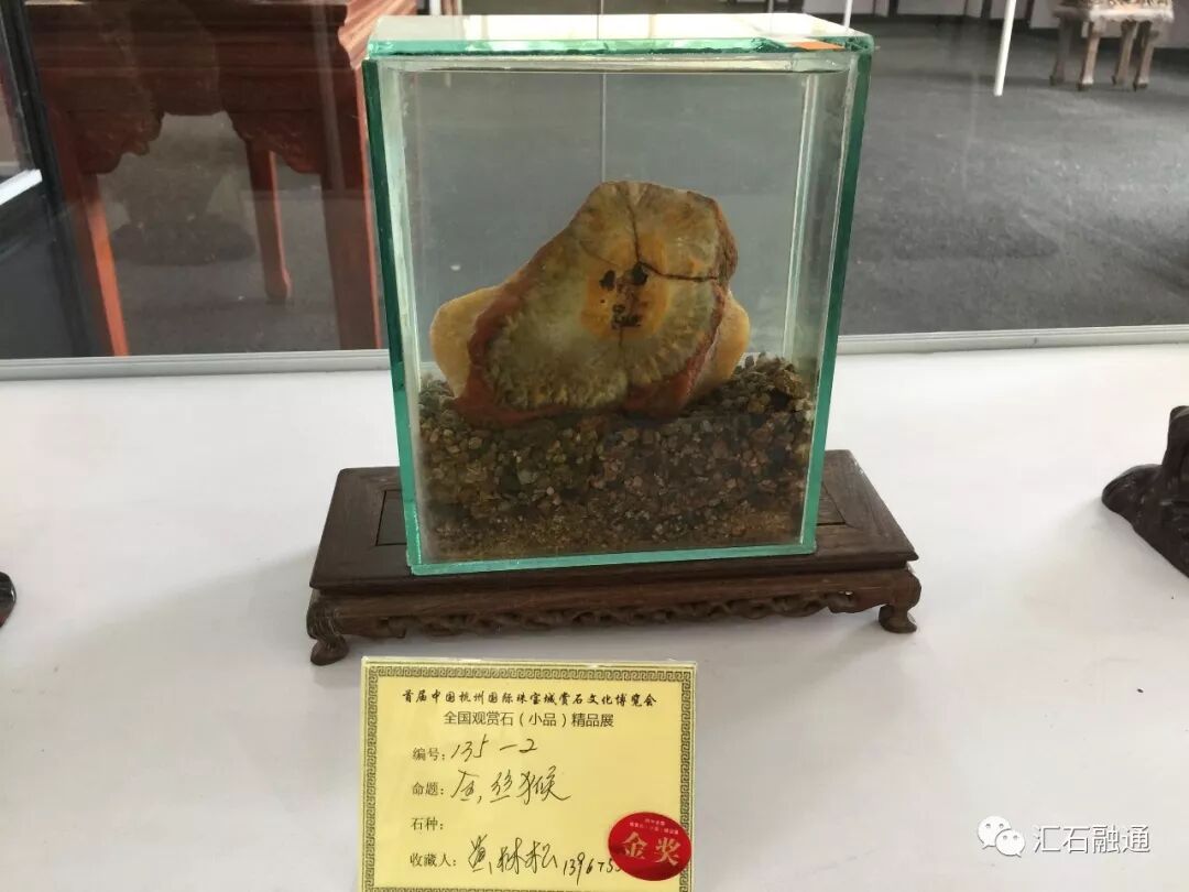 【金奖发布】杭州石展，盛大开幕