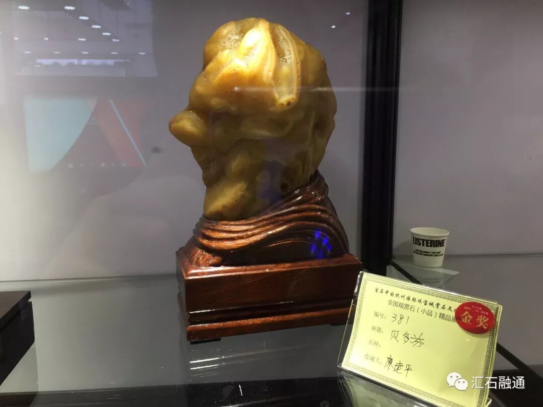 【金奖发布】杭州石展，盛大开幕