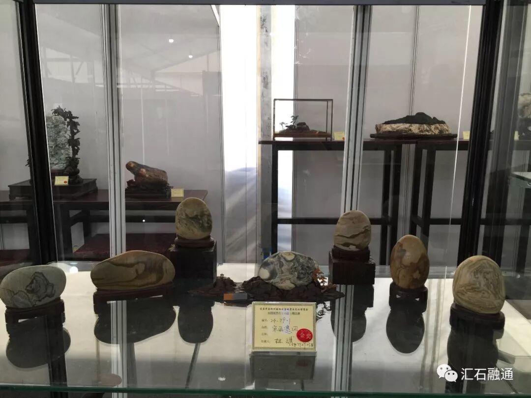 【金奖发布】杭州石展，盛大开幕