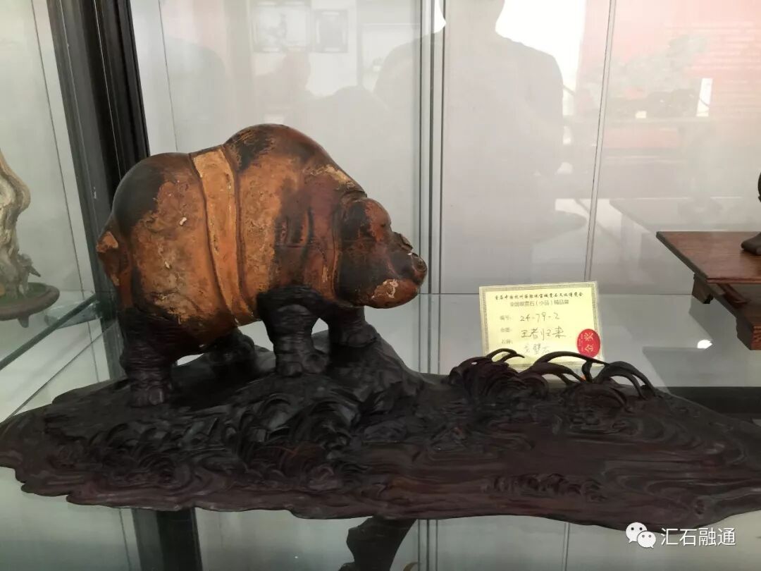 【金奖发布】杭州石展，盛大开幕