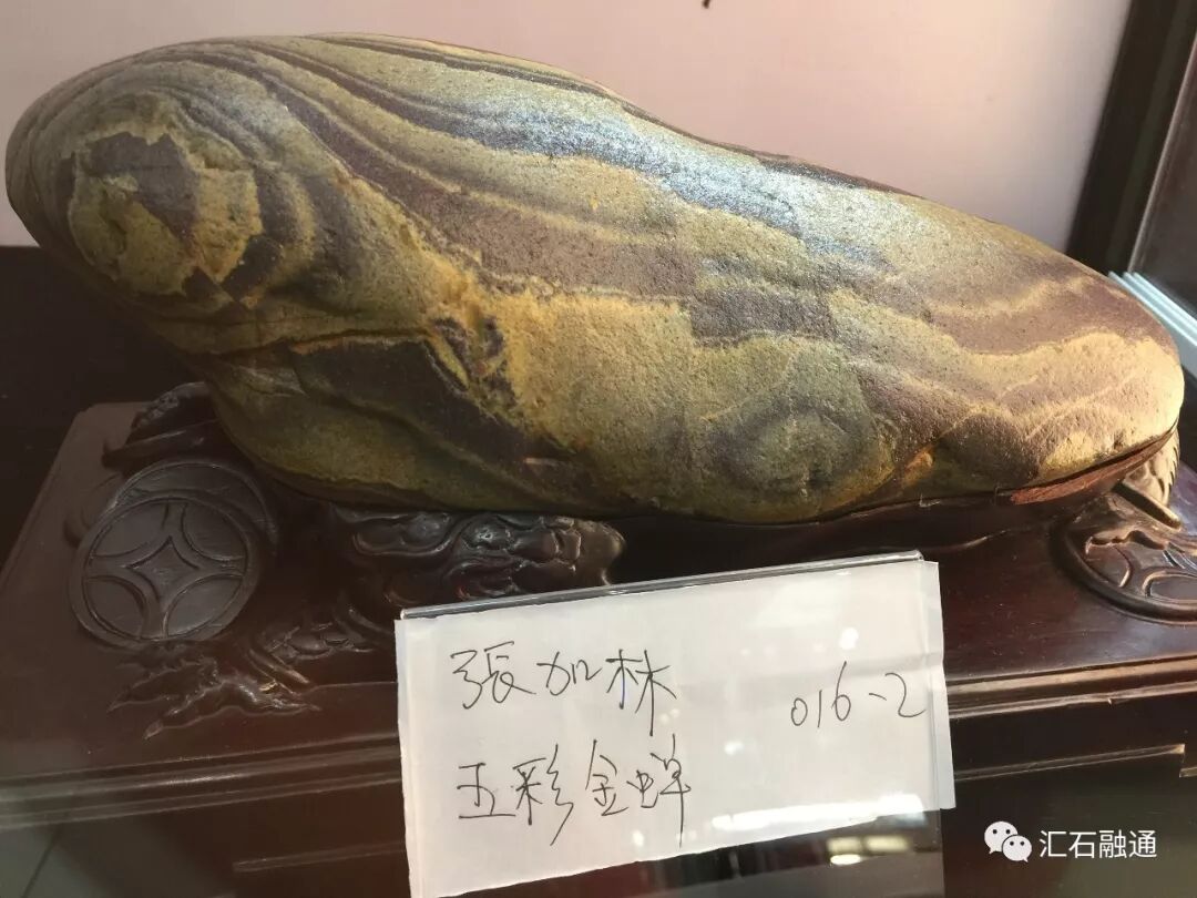 【金奖发布】杭州石展，盛大开幕