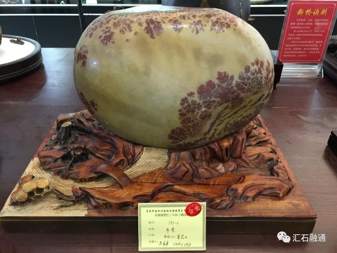 【金奖发布】杭州石展，盛大开幕