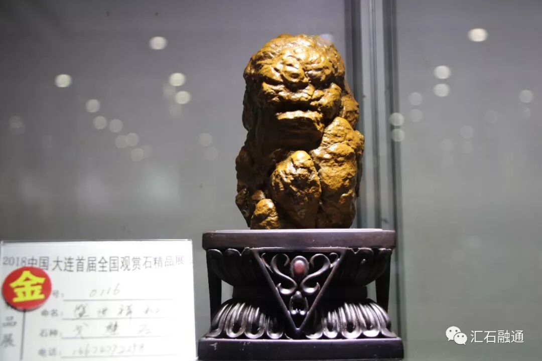 【金奖发布】大连石展，盛大开幕