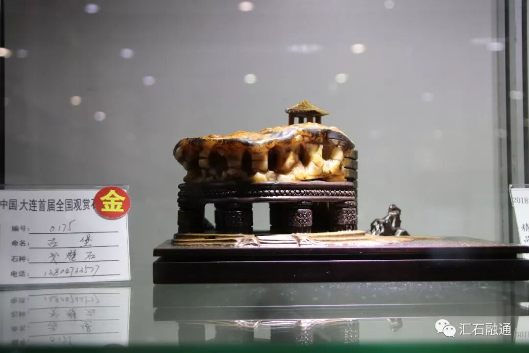 【金奖发布】大连石展，盛大开幕