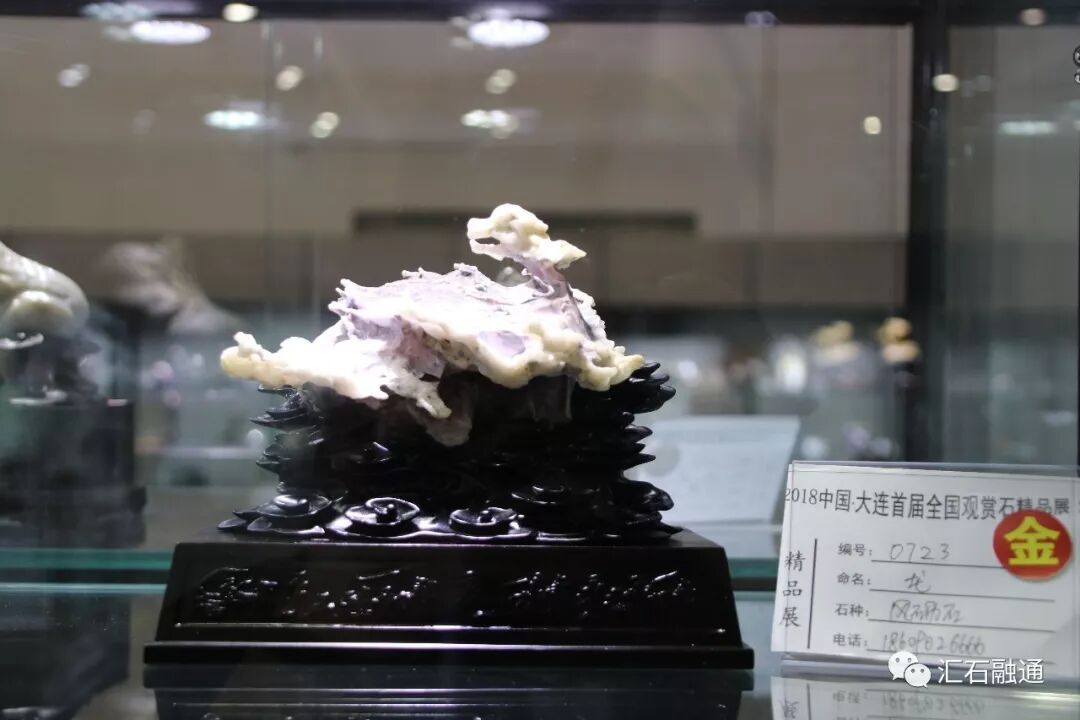 【金奖发布】大连石展，盛大开幕