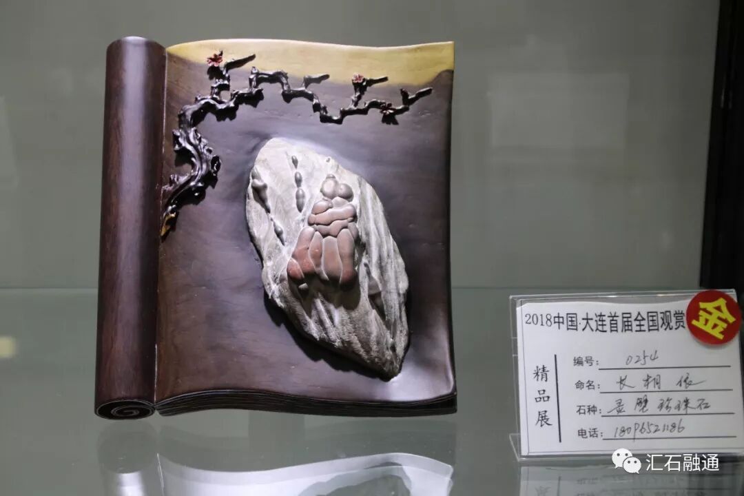 【金奖发布】大连石展，盛大开幕