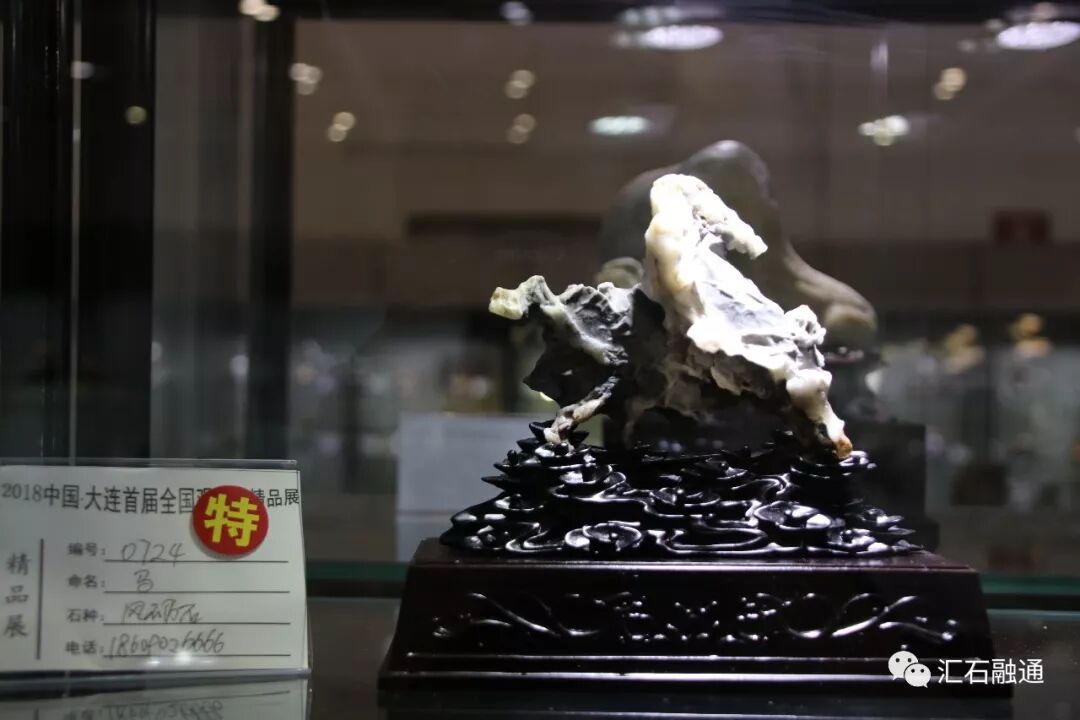 【金奖发布】大连石展，盛大开幕