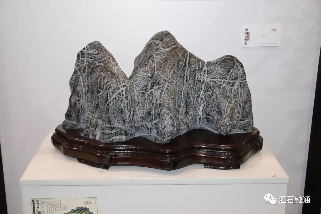 【金奖发布】大连石展，盛大开幕