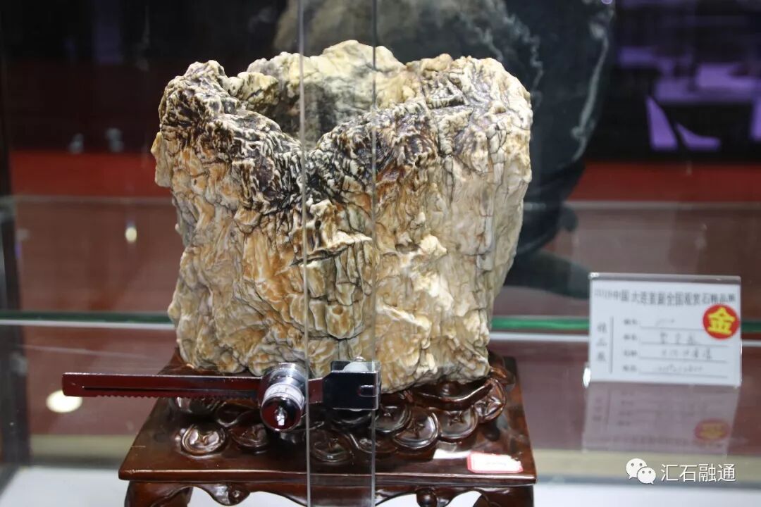 【金奖发布】大连石展，盛大开幕