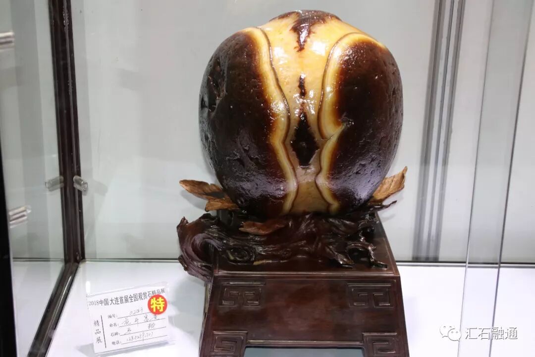 【金奖发布】大连石展，盛大开幕