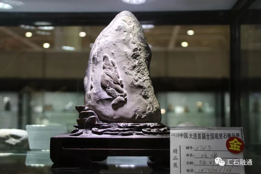 【金奖发布】大连石展，盛大开幕
