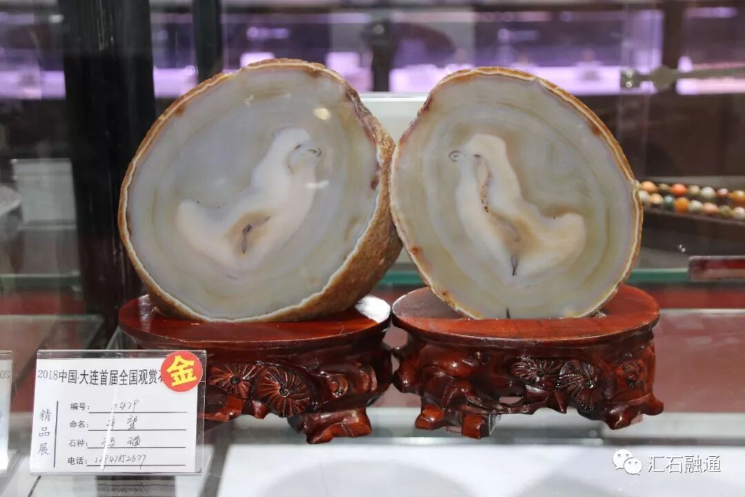 【金奖发布】大连石展，盛大开幕