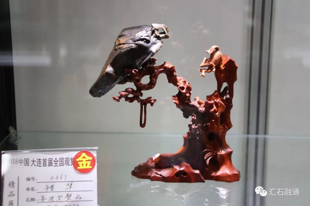 【金奖发布】大连石展，盛大开幕