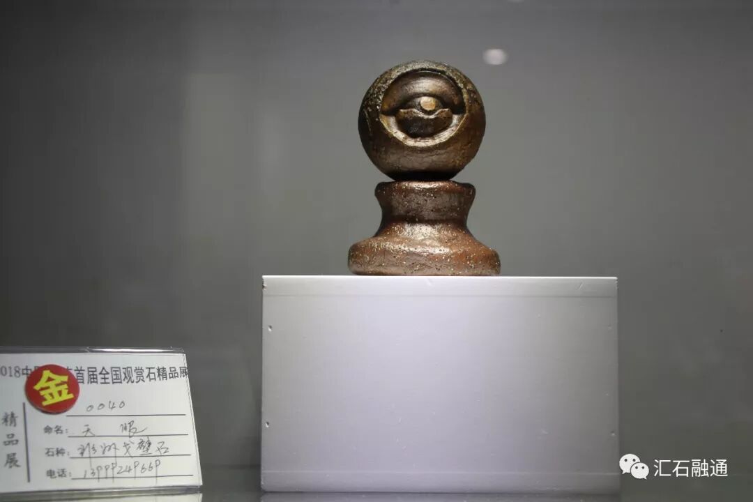 【金奖发布】大连石展，盛大开幕