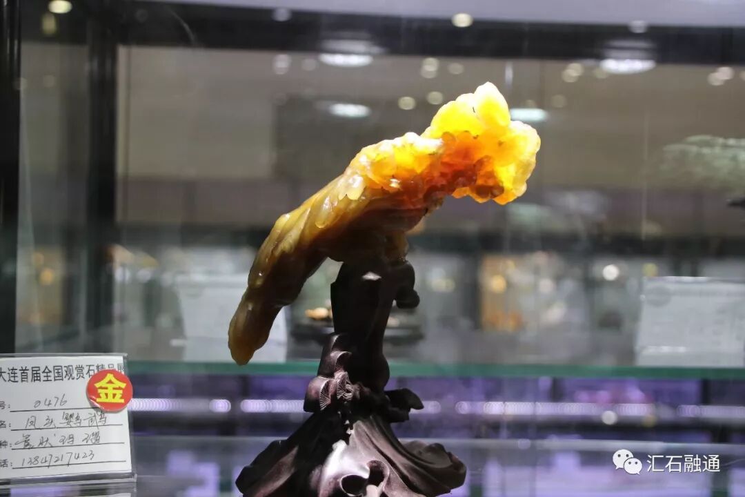 【金奖发布】大连石展，盛大开幕