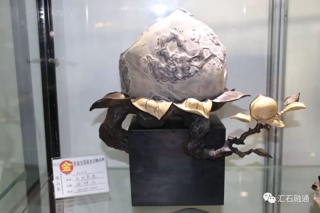【金奖发布】大连石展，盛大开幕