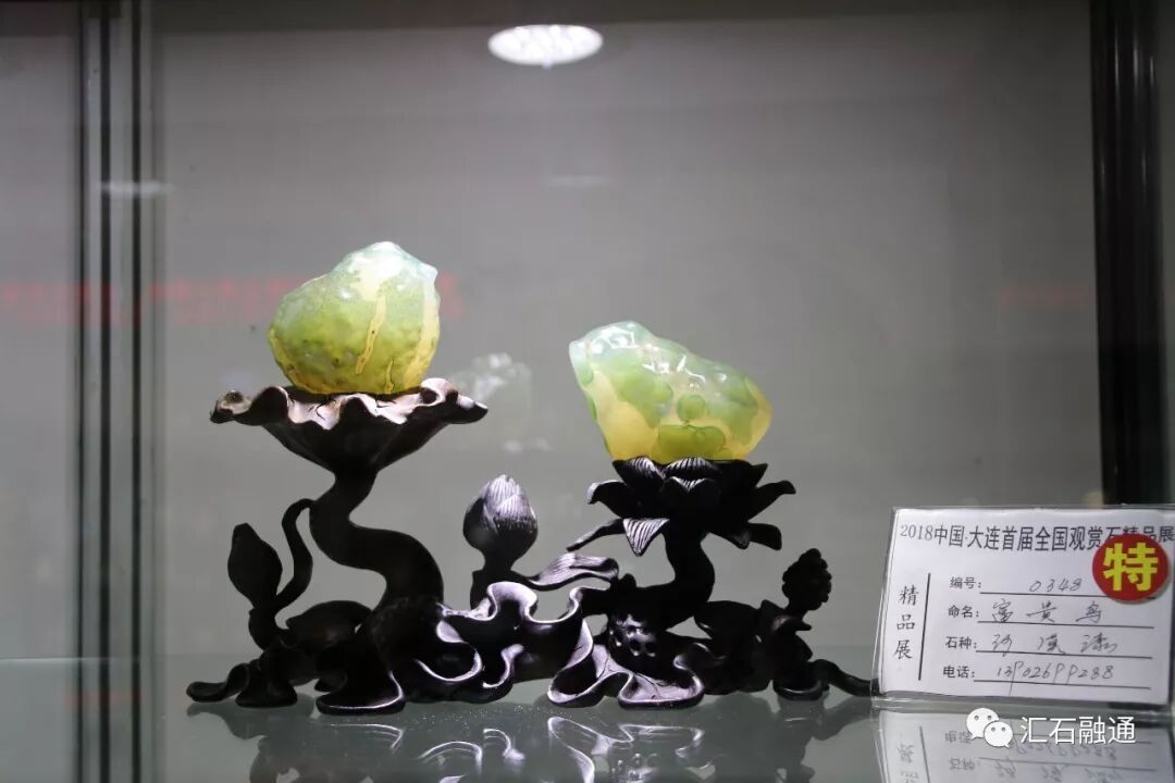 【金奖发布】大连石展，盛大开幕