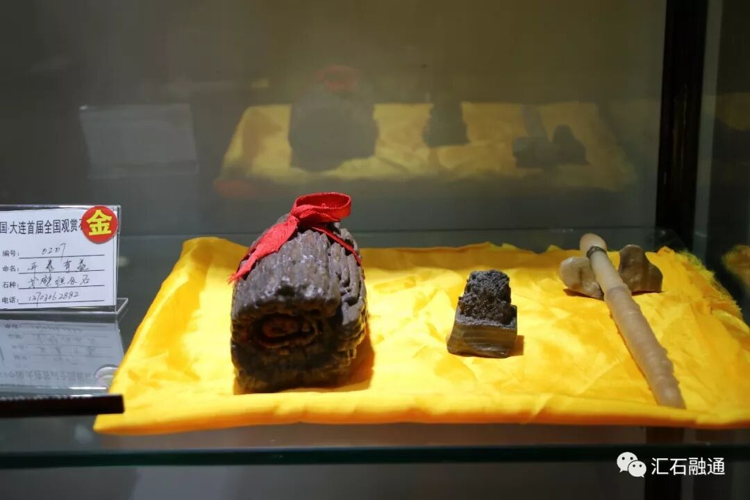 【金奖发布】大连石展，盛大开幕