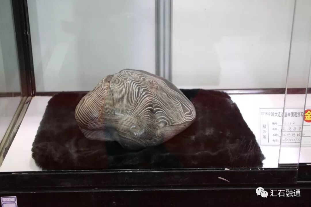 【金奖发布】大连石展，盛大开幕