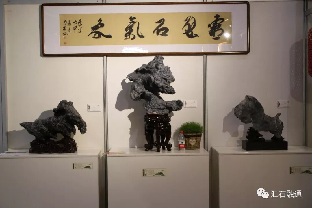 【金奖发布】大连石展，盛大开幕