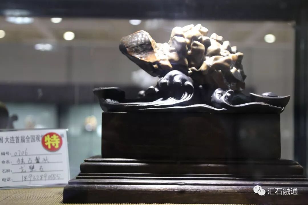 【金奖发布】大连石展，盛大开幕