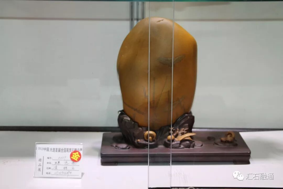 【金奖发布】大连石展，盛大开幕