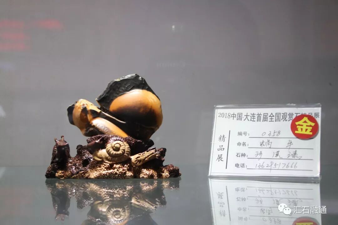 【金奖发布】大连石展，盛大开幕