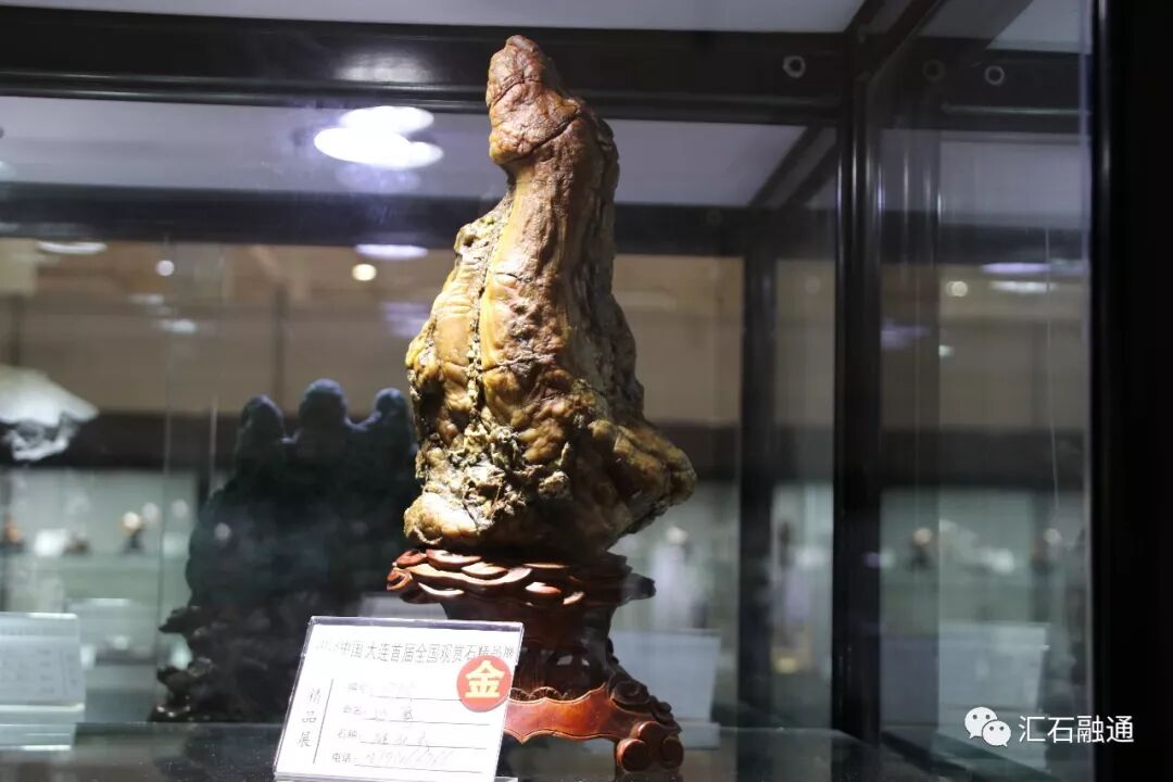 【金奖发布】大连石展，盛大开幕