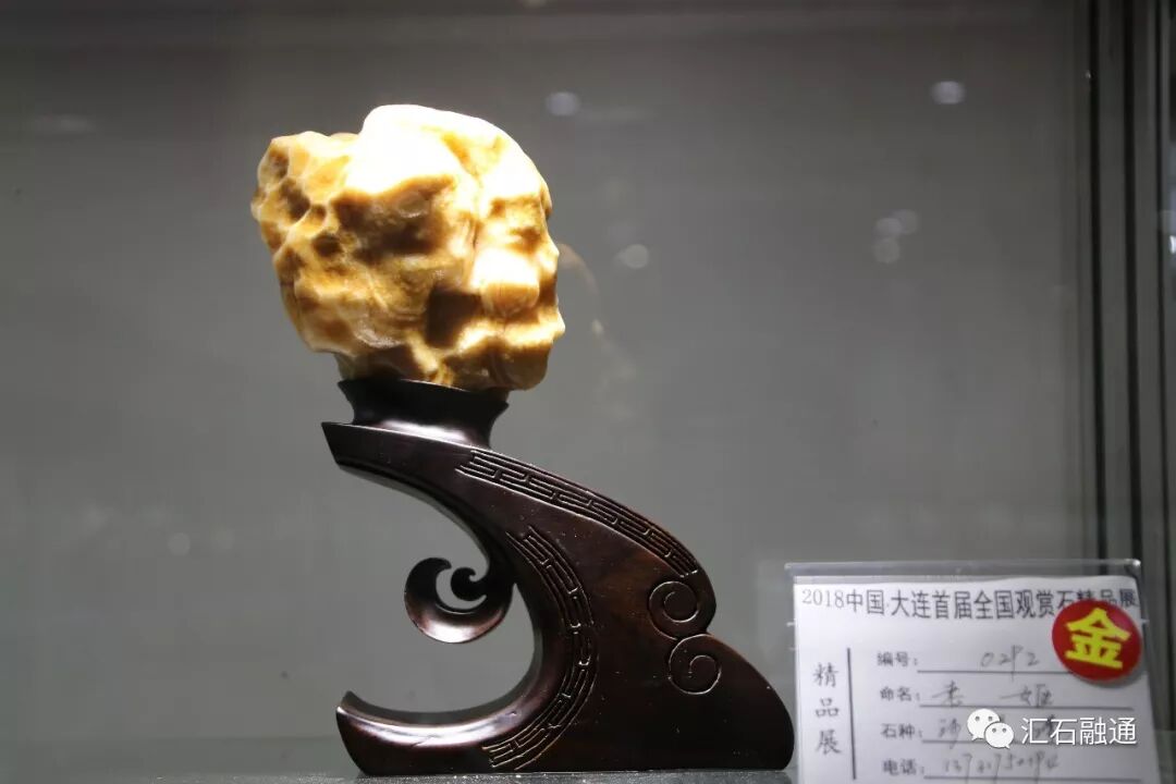 【金奖发布】大连石展，盛大开幕