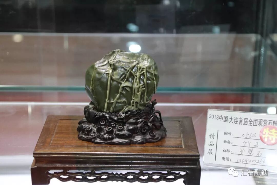 【金奖发布】大连石展，盛大开幕