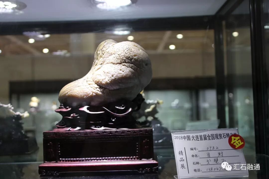 【金奖发布】大连石展，盛大开幕