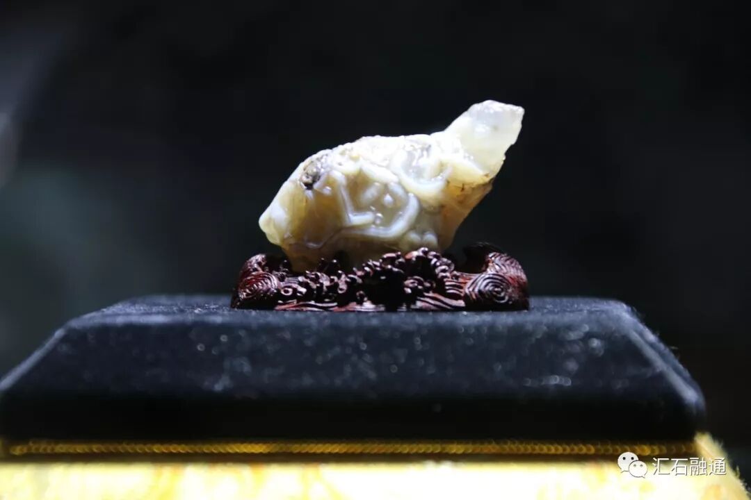 【金奖发布】大连石展，盛大开幕