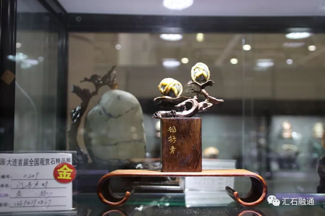 【金奖发布】大连石展，盛大开幕