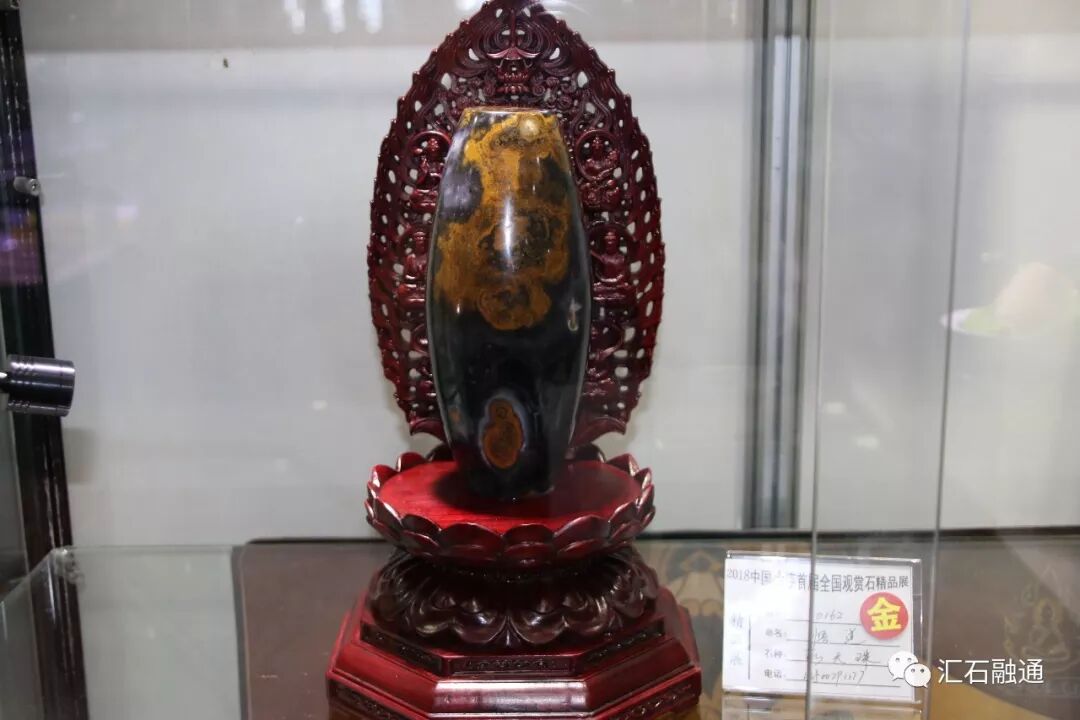 【金奖发布】大连石展，盛大开幕