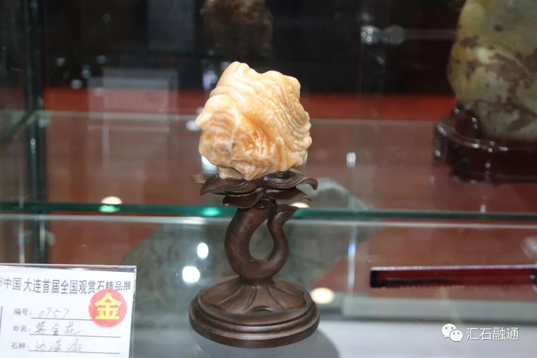 【金奖发布】大连石展，盛大开幕