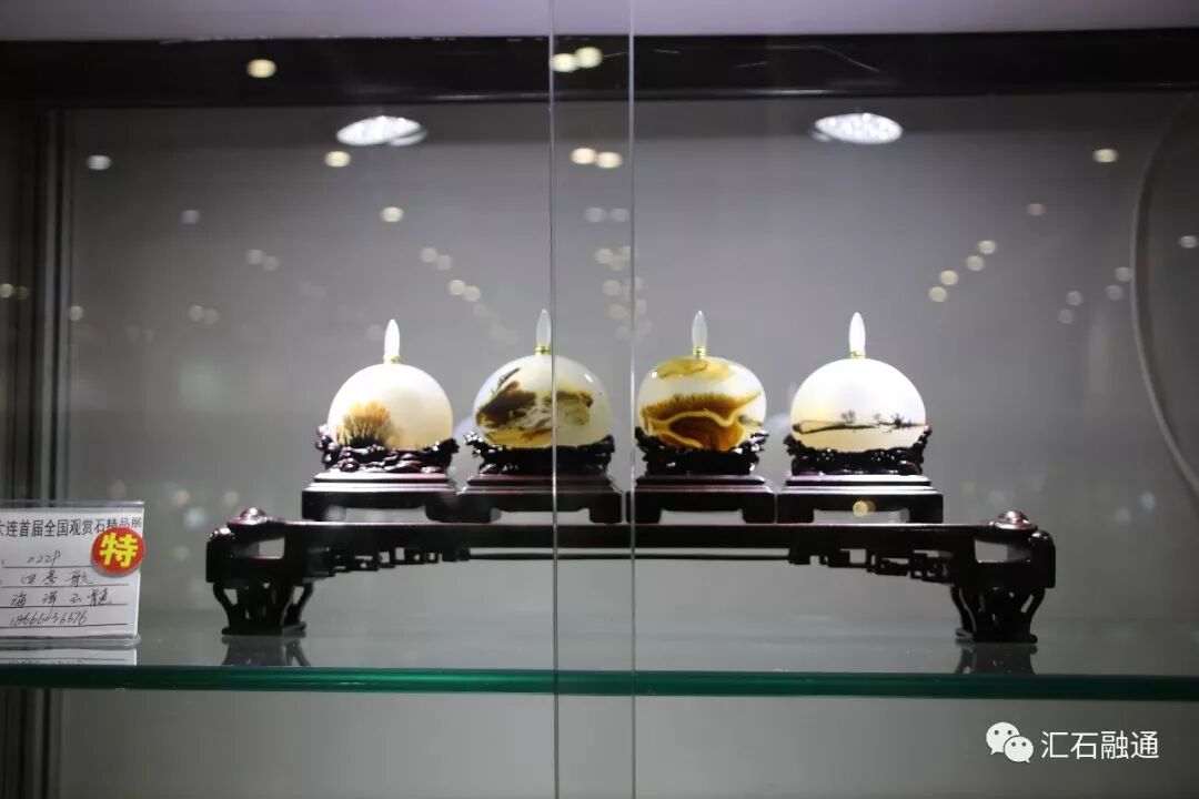 【金奖发布】大连石展，盛大开幕