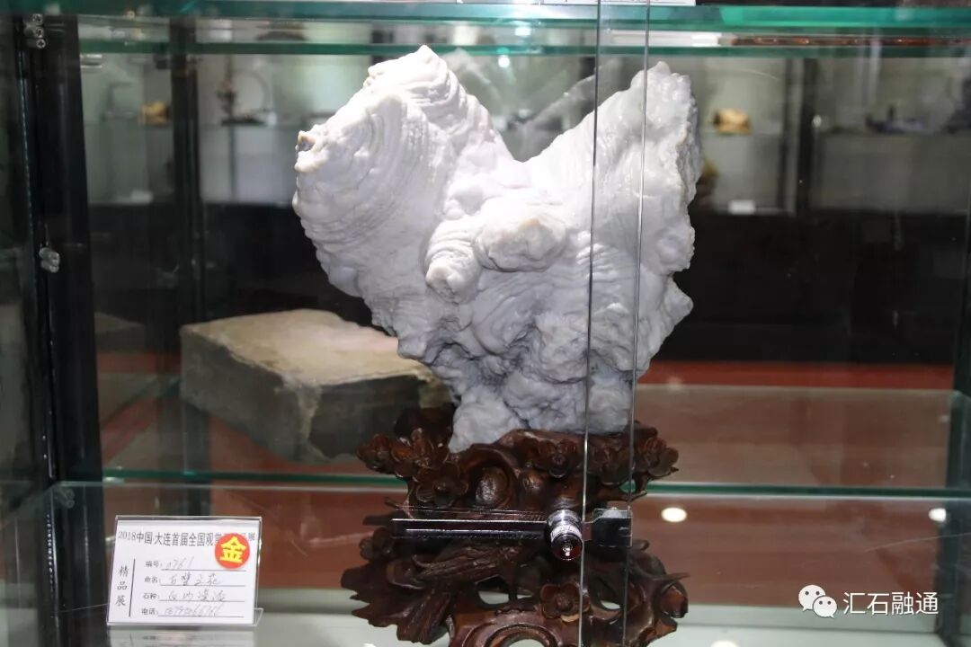 【金奖发布】大连石展，盛大开幕