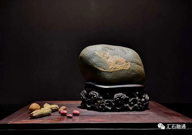 【谈古说今】璞石斋中赏名品