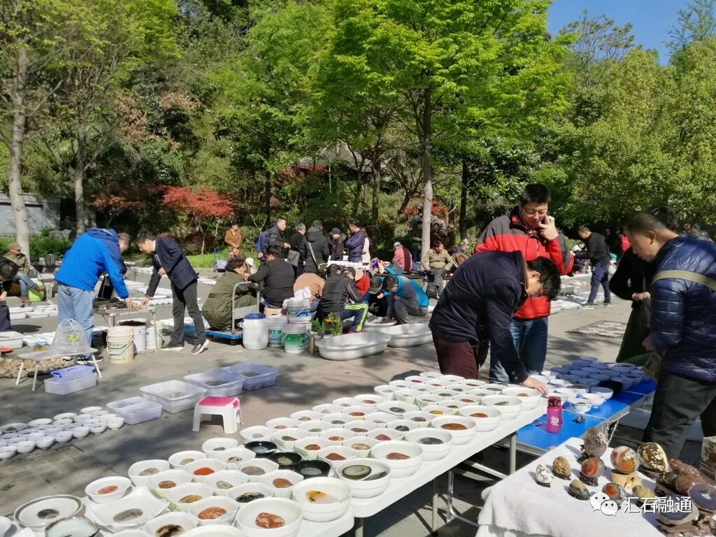 【谈古说今】金陵石痴故事多