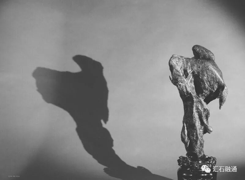 更书香草续离骚｜写在上石协第二期传统赏石鉴藏家研修班之前