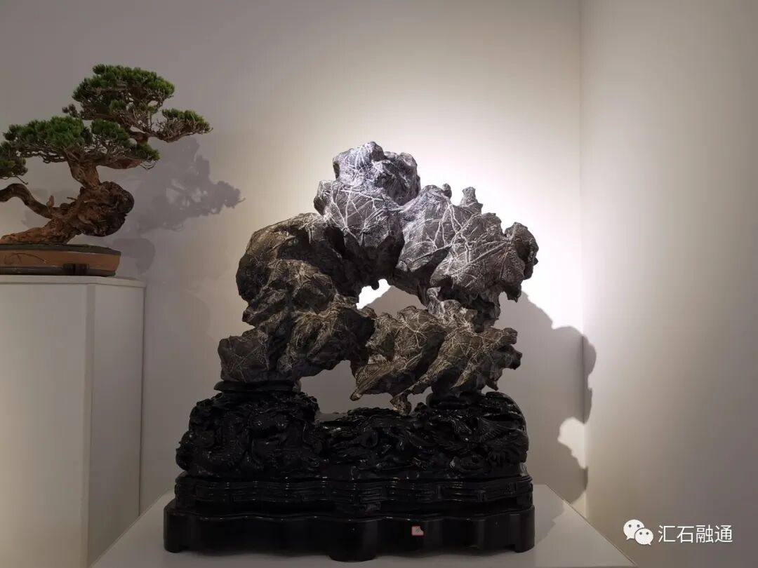 更书香草续离骚｜写在上石协第二期传统赏石鉴藏家研修班之前